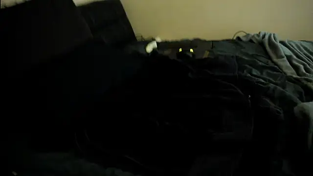 toolmaster2000 online show from 01/15/26, 02:15