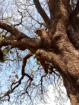 Rs sonam online show from 04/04/26, 10:55