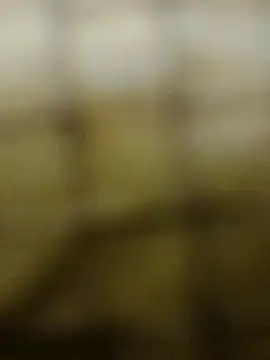 Rs sonam online show from 12/03/25, 10:58