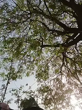Rs sonam online show from 05/27/26, 01:57