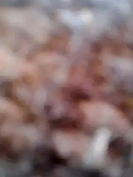 Snapshot of Rs_sonam chatting on 02/06/26, 02:51 Rs sonam online show from 02/06/26, 02:51