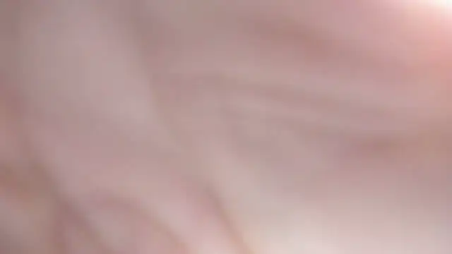 sackstor online show from 09/17/25, 06:54