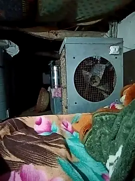 Lona2525 online show from 02/16/26, 08:40