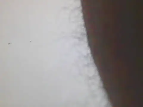 Horny MALLU 6 online show from 02/07/26, 04:37