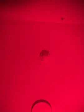 bellacagyal online show from 02/11/26, 10:48