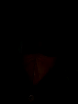 Liu30 online show from 11/28/25, 06:52