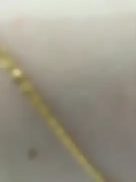 lee ly online show from 03/21/26, 01:26