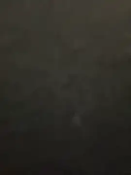 Snapshot of lee_ly chatting on 12/15/25, 11:38 lee ly online show from 12/15/25, 11:38