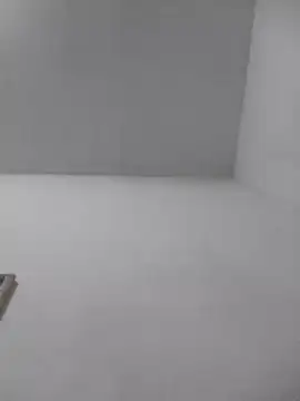 misteriosabb000 online show from 11/12/25, 07:56