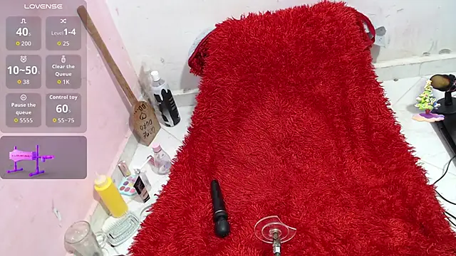 codorniz2025 online show from 11/01/25, 09:58