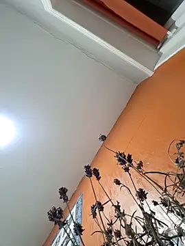 Hotboy-534 online show from 03/25/26, 10:52