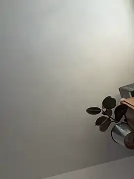 UnitedMap1 online show from 11/20/25, 02:51