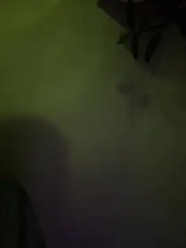 UnitedMap1 online show from 03/31/26, 09:17