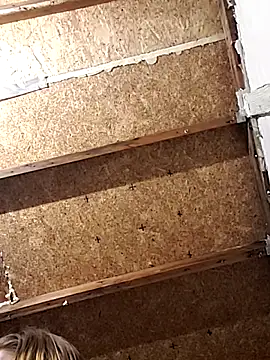 Queen2454 online show from 03/06/26, 09:37