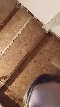 Queen2454 online show from 03/08/26, 12:41