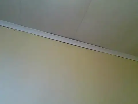 carrie tee online show from 11/11/25, 08:42