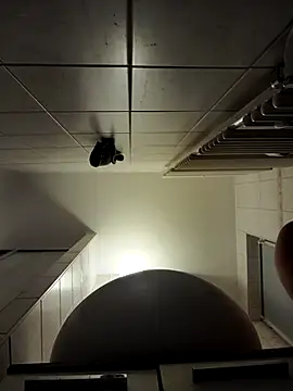 stivi2526 online show from 11/27/25, 07:25