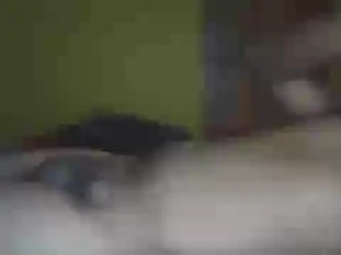 Hhhggghrrr3219 online show from 03/25/26, 07:35