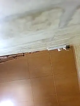 Apeesynka55211 online show from 10/19/25, 04:32