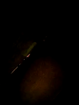 Apeesynka55211 online show from 12/14/25, 08:09