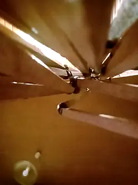 Apeesynka55211 online show from 12/20/25, 06:38