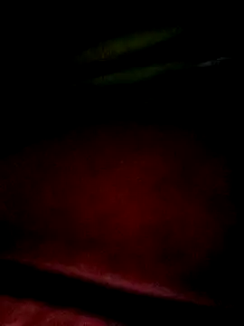 Apeesynka55211 online show from 01/18/26, 07:17