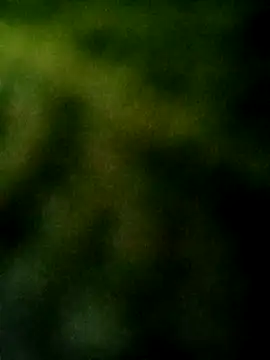 Apeesynka55211 online show from 10/04/25, 05:58