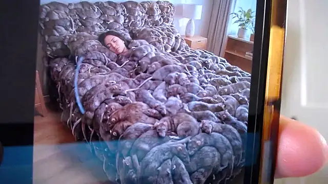 naughtyfox89 online show from 03/18/26, 03:31