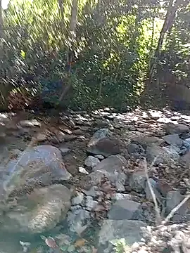 linda swett online show from 05/14/26, 08:06