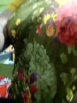 harinisree online show from 11/19/25, 03:06