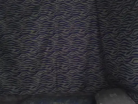 joy cute online show from 02/07/26, 11:46