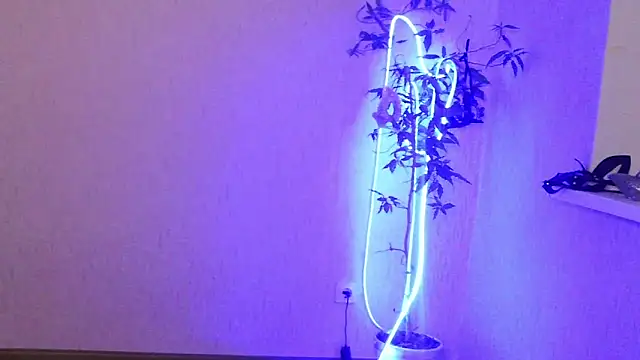 Ashley Brookss online show from 12/13/25, 08:04