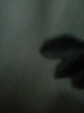 Mssbig online show from 11/04/25, 11:36