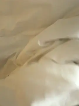 HenryLee1983-cums online show from 11/28/25, 12:44