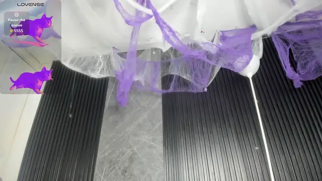 cloemorningstar online show from 10/31/25, 02:46