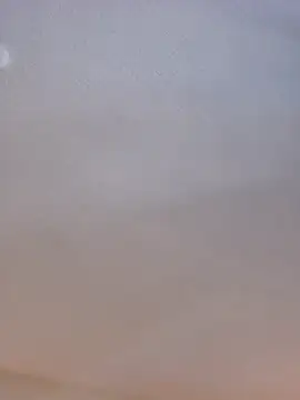 Roddog18 online show from 02/07/26, 07:11