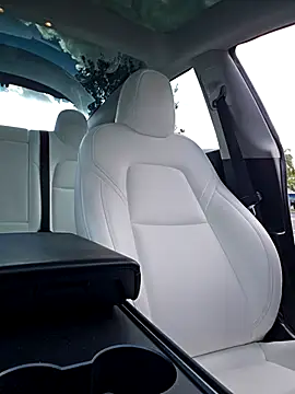 Roddog18 online show from 11/17/25, 07:29