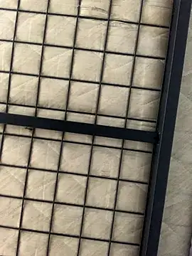 longitu3 online show from 10/09/25, 08:59