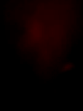 bunty-babli online show from 11/13/25, 05:11