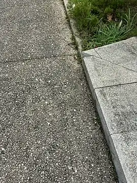 nanaisbackk online show from 02/16/26, 02:37