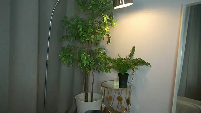 PollyMayer online show from 12/05/25, 09:12