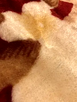 Lamarocainee online show from 10/05/25, 09:16