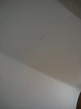 LindaSalo33 online show from 12/21/25, 04:36