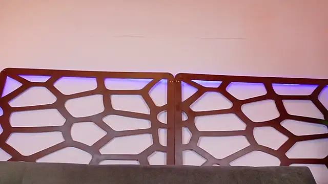 ashley jonee online show from 11/18/25, 07:06