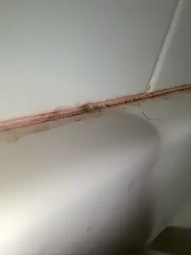 Snapshot of StroknGoon69 chatting on 11/04/25, 11:52 StroknGoon69 online show from 11/04/25, 11:52