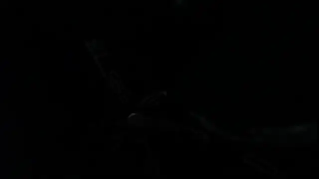 SteveDickson  online show from 10/14/25, 09:15