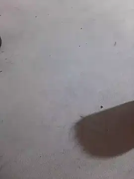 JuDilva8451 online show from 11/21/25, 11:59