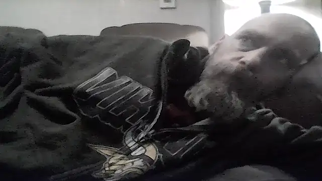 crazyheratic8 online show from 01/17/26, 01:31