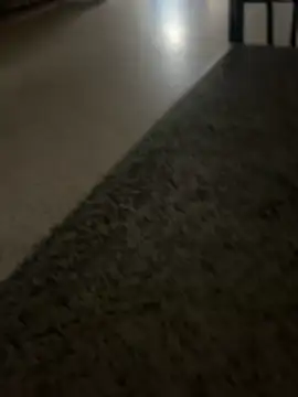 nice686xh online show from 11/30/25, 08:20