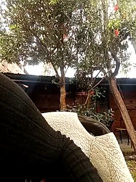 Jade 1-9 online show from 10/30/25, 05:43